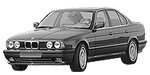 BMW E34 B216A Fault Code